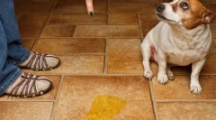 Uczymy się zaznaczać w mieszkaniu